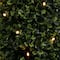 3ft. Pre-Lit LED Potted Boxwood Cone Tree